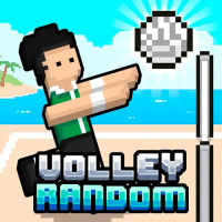 Volleyball Random