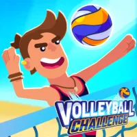 Volleyball Challenge